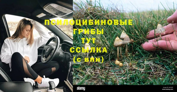 кокаин колумбия Алзамай