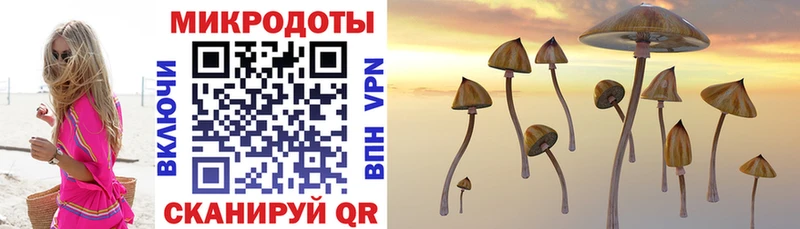Галлюциногенные грибы GOLDEN TEACHER Жуков